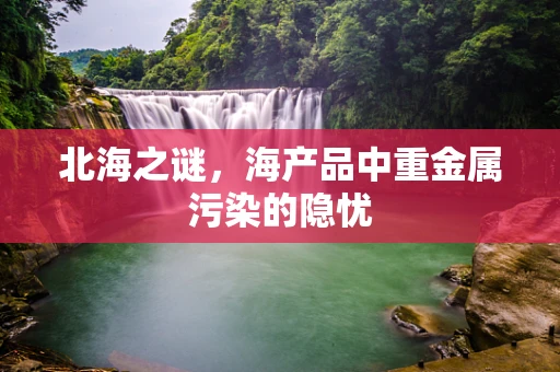 北海之谜，海产品中重金属污染的隐忧