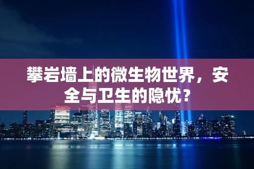 攀岩墙上的微生物世界，安全与卫生的隐忧？