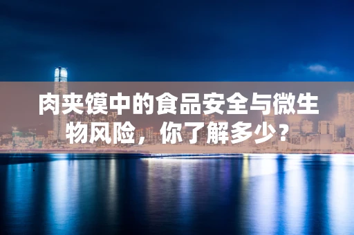 肉夹馍中的食品安全与微生物风险，你了解多少？