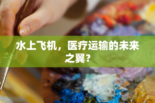 水上飞机，医疗运输的未来之翼？