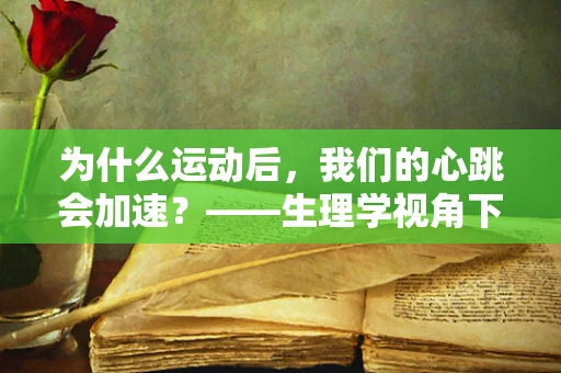 为什么运动后，我们的心跳会加速？——生理学视角下的运动与心脏反应