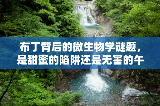 布丁背后的微生物学谜题，是甜蜜的陷阱还是无害的午后甜点？