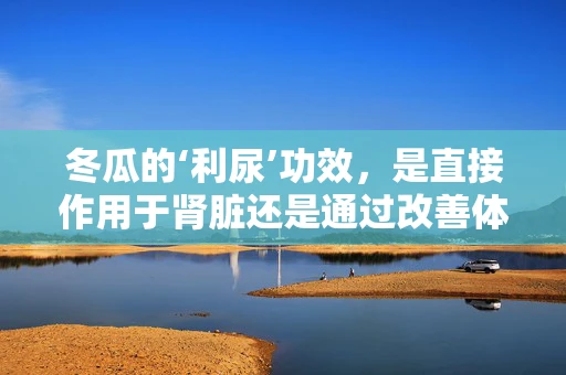 冬瓜的‘利尿’功效，是直接作用于肾脏还是通过改善体液循环实现？