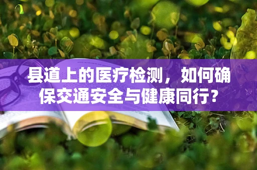县道上的医疗检测，如何确保交通安全与健康同行？