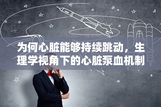 为何心脏能够持续跳动，生理学视角下的心脏泵血机制
