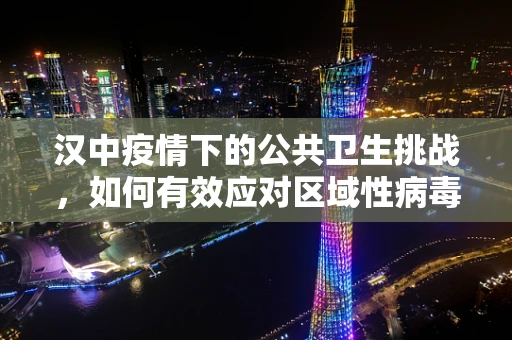 汉中疫情下的公共卫生挑战，如何有效应对区域性病毒传播？