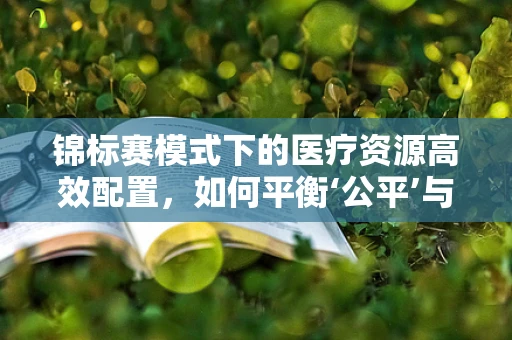 锦标赛模式下的医疗资源高效配置，如何平衡‘公平’与‘效率’？