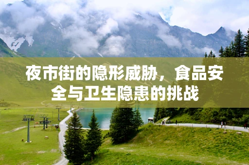 夜市街的隐形威胁，食品安全与卫生隐患的挑战