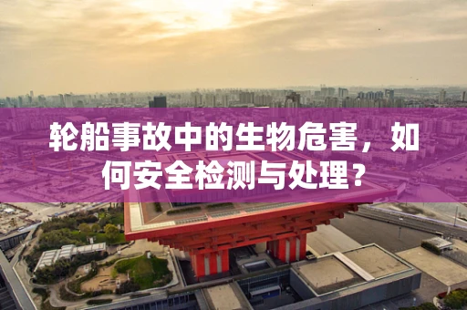 轮船事故中的生物危害，如何安全检测与处理？