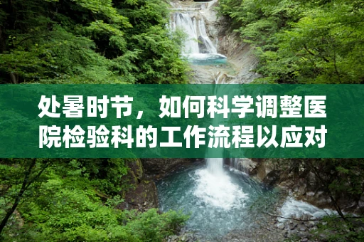 处暑时节，如何科学调整医院检验科的工作流程以应对秋燥影响？