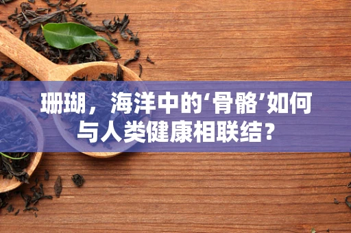 珊瑚，海洋中的‘骨骼’如何与人类健康相联结？