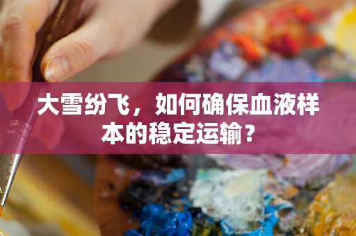 大雪纷飞，如何确保血液样本的稳定运输？