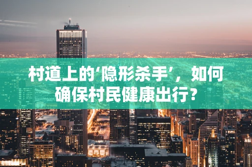 村道上的‘隐形杀手’，如何确保村民健康出行？