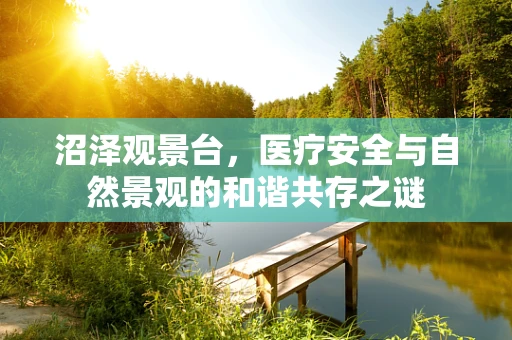 沼泽观景台，医疗安全与自然景观的和谐共存之谜