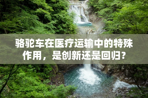 骆驼车在医疗运输中的特殊作用，是创新还是回归？