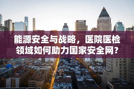 能源安全与战略，医院医检领域如何助力国家安全网？