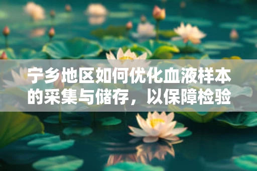 宁乡地区如何优化血液样本的采集与储存，以保障检验结果的准确性？