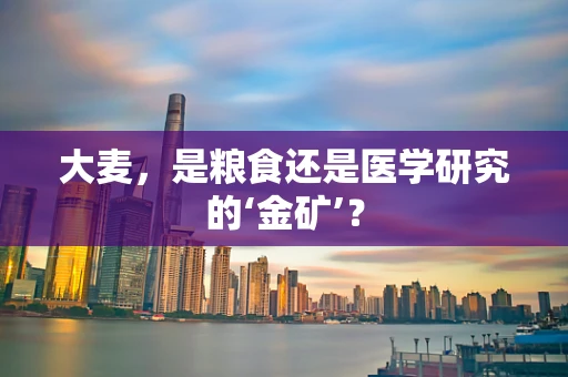 大麦，是粮食还是医学研究的‘金矿’？