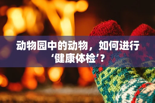 动物园中的动物，如何进行‘健康体检’？