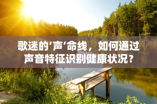 歌迷的‘声’命线，如何通过声音特征识别健康状况？