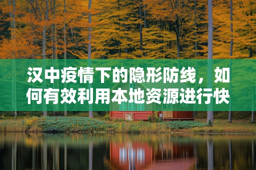 汉中疫情下的隐形防线，如何有效利用本地资源进行快速核酸检测？
