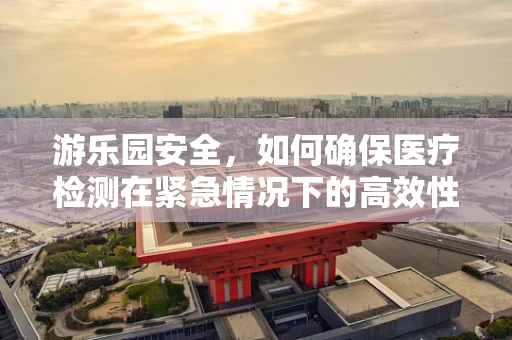 游乐园安全，如何确保医疗检测在紧急情况下的高效性？