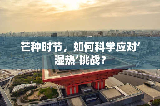 芒种时节，如何科学应对‘湿热’挑战？