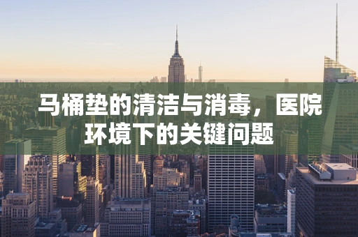 马桶垫的清洁与消毒，医院环境下的关键问题