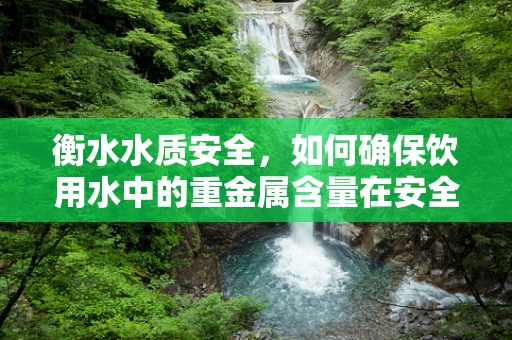衡水水质安全，如何确保饮用水中的重金属含量在安全范围内？