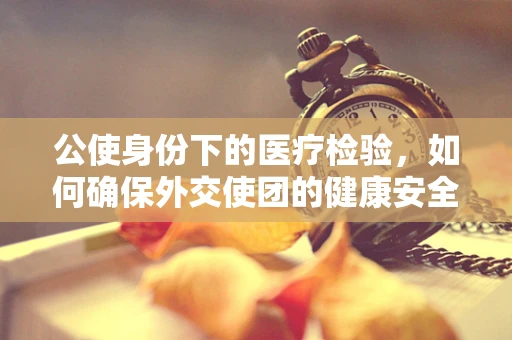 公使身份下的医疗检验，如何确保外交使团的健康安全？