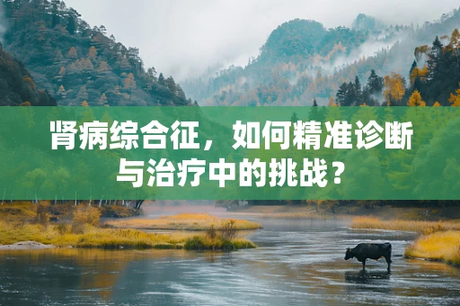 肾病综合征，如何精准诊断与治疗中的挑战？