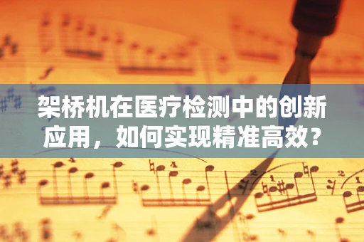 架桥机在医疗检测中的创新应用，如何实现精准高效？