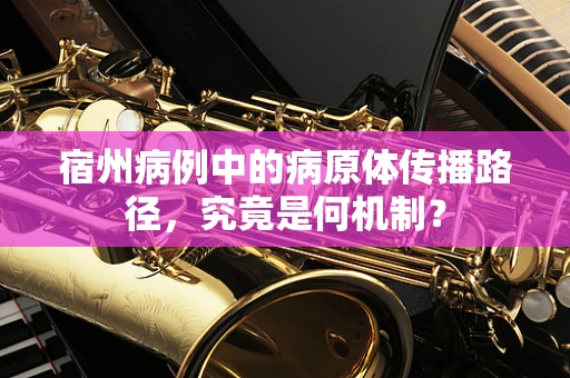 宿州病例中的病原体传播路径，究竟是何机制？