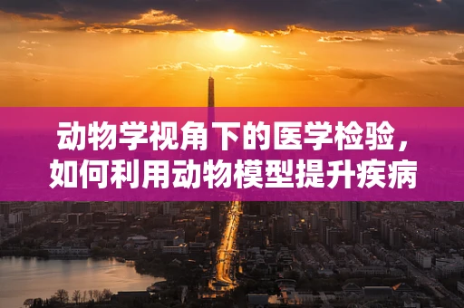 动物学视角下的医学检验，如何利用动物模型提升疾病诊断准确性？