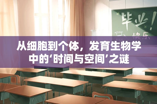 从细胞到个体，发育生物学中的‘时间与空间’之谜