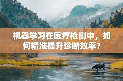 机器学习在医疗检测中，如何精准提升诊断效率？